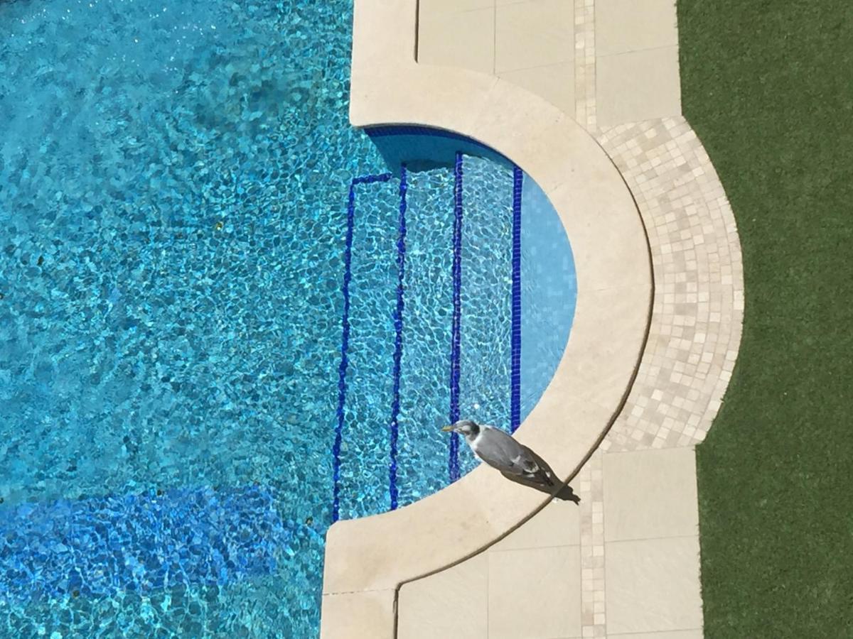 3 Min Walking To Peneco Beach Albufeira , Apart + Pool + Wifi Luaran gambar